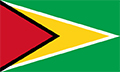 Flagge Guyana