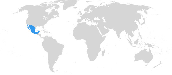 Mexiko auf der Weltkarte