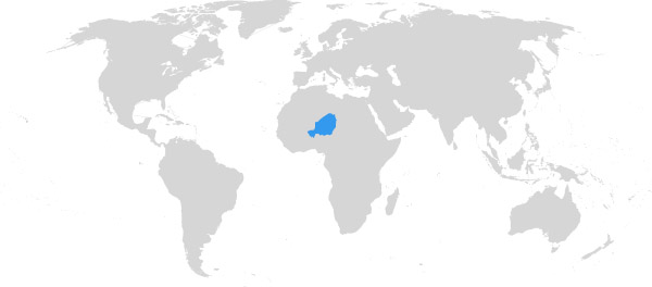 Niger auf der Weltkarte