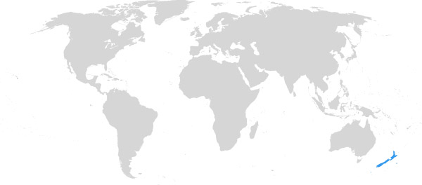 Neuseeland auf der Weltkarte