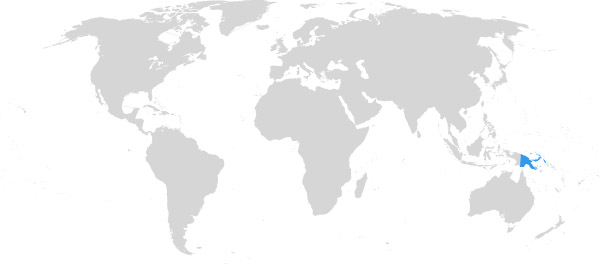 Papua-Neuguinea auf der Weltkarte