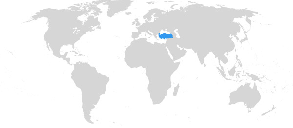 Türkei auf der Weltkarte